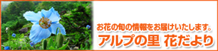 アルプの里　花だより