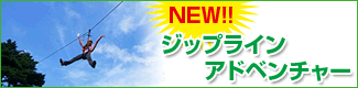 NEW！！　ジップラインアドベンチャー