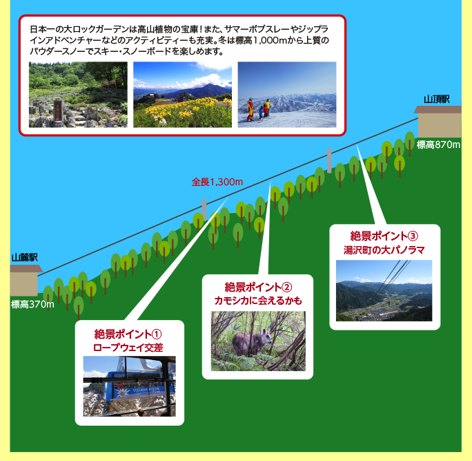 ロープウェイからの見どころ