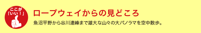 ロープウェイからの見どころ
