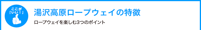 湯沢パノラマパークロープウェイの特徴
