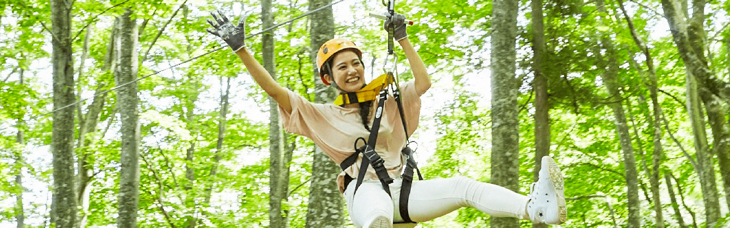 Zip Line