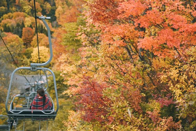 🍂 秋の彩りが美しい、今だけの特別な景色✨

まもなく紅葉のピークを迎える湯沢高原パノラマパーク。
赤や黄色に染まる山々と、澄み渡る秋の空。
谷川連峰と紅葉が織りなす幻想的な風景をお楽しみください。🏔️❄
この季節ならではの絶景を探しに、ぜひ足を運んでみてください😊🍁

#湯沢高原パノラマパーク #越後湯沢 #新潟 #紅葉 #秋のおでかけ
#越後湯沢ってアリ